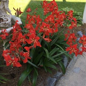 Meet your Posher, Sylvia